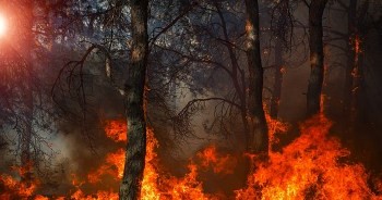 Wildfire Incident Command Tools