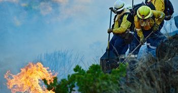 Accountability Considerations For Wildland & Brush Fire Operations 1 A group of three firefighters outside next to a brush that is on fire.